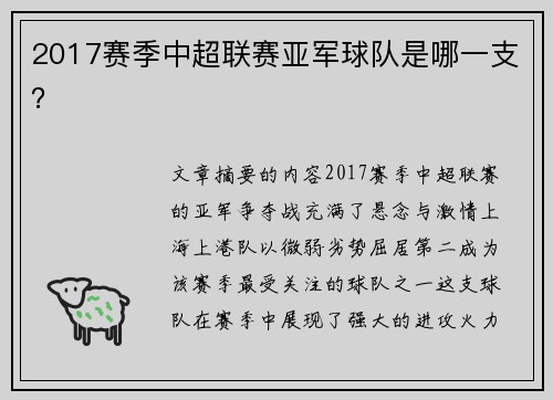 2017赛季中超联赛亚军球队是哪一支？